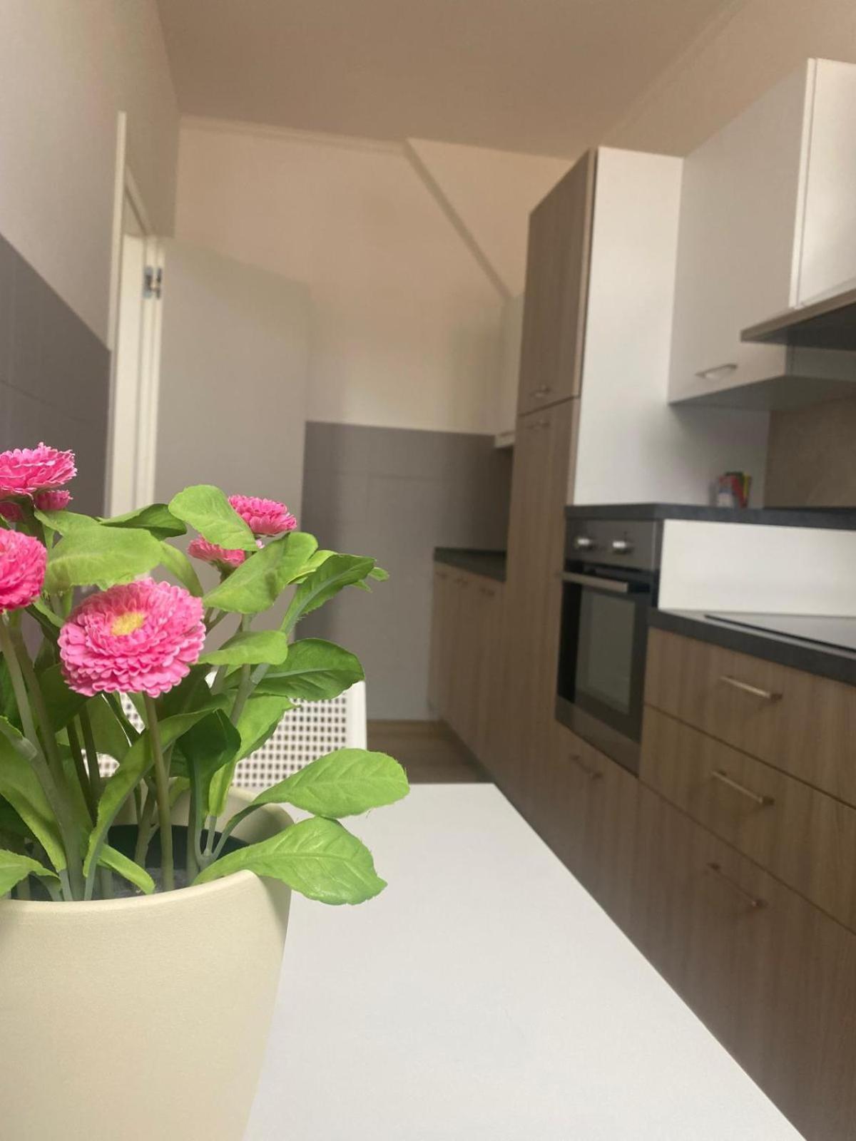 Appartamento Palazzo Venezian 5 Trieste Esterno foto